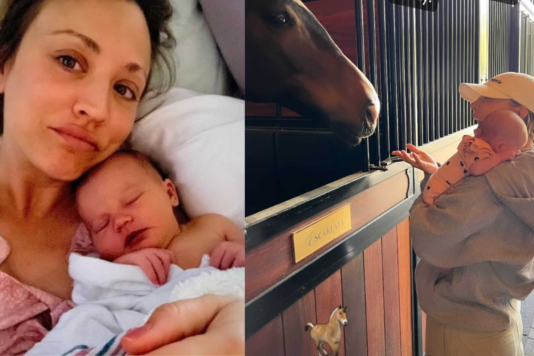 Kaley Cuoco, protagonista de 'Baseado Numa História Real', tem estrela na Calçada da Fama, é mãe de primeira viagem e apaixonada pelos animais