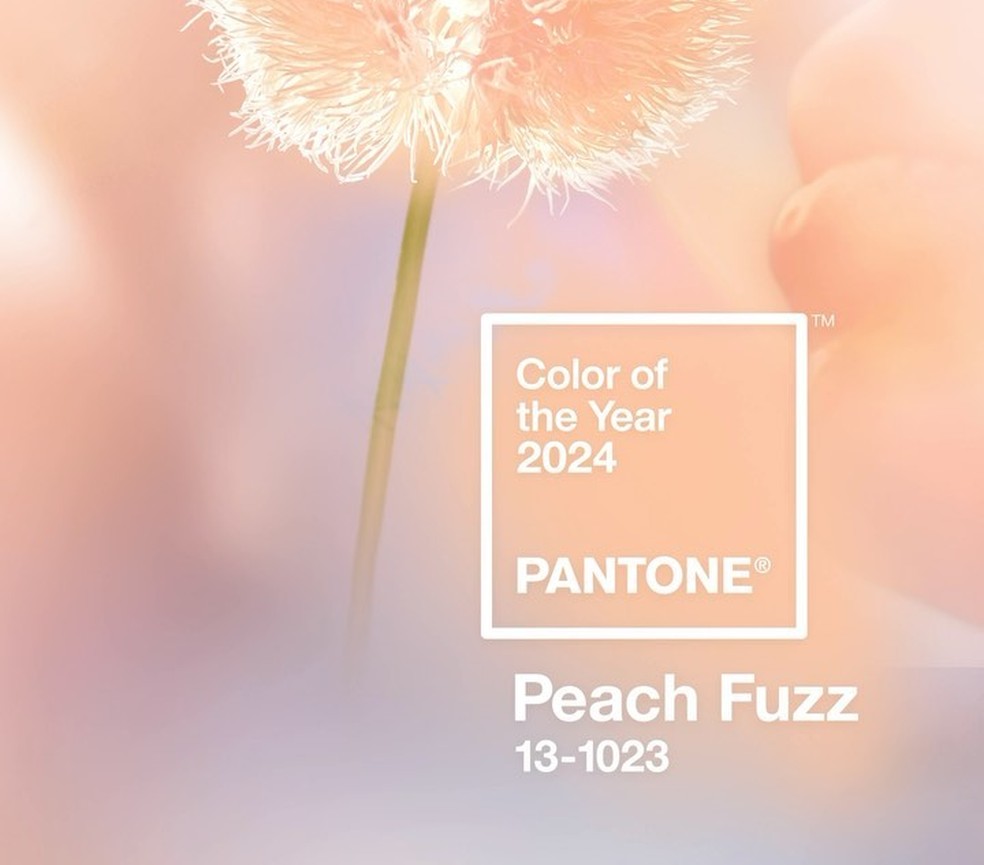 Pantone elege o tom de pêssego suave "Peach Fuzz" como a cor de 2024 — Foto: Reprodução/Instagram
