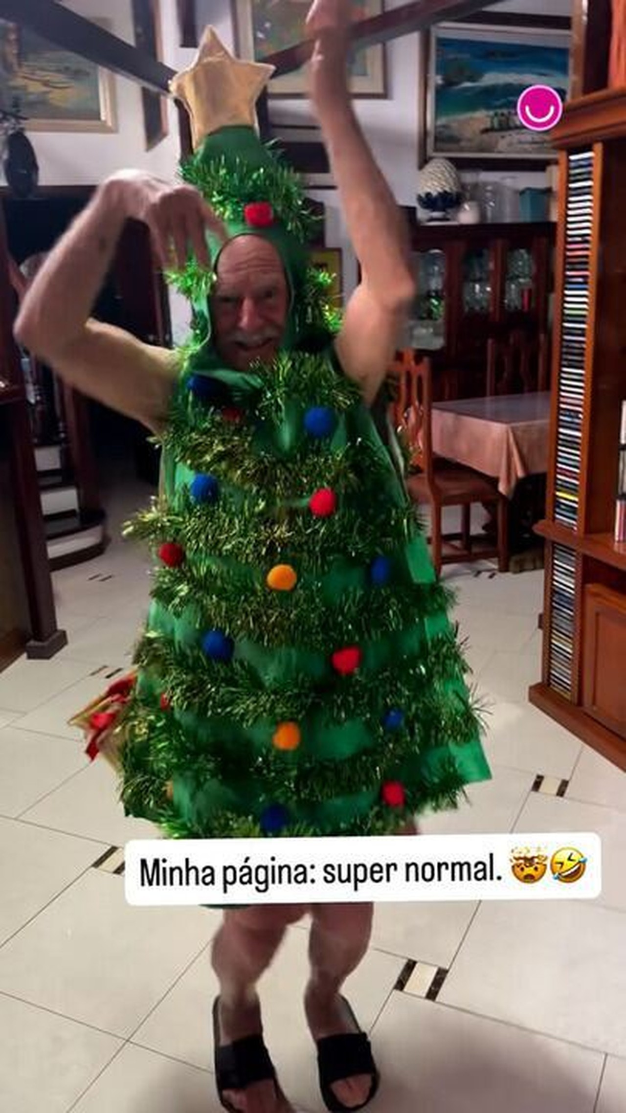No clima de dezembro, Ary Fontoura posta vestido de árvore de Natal