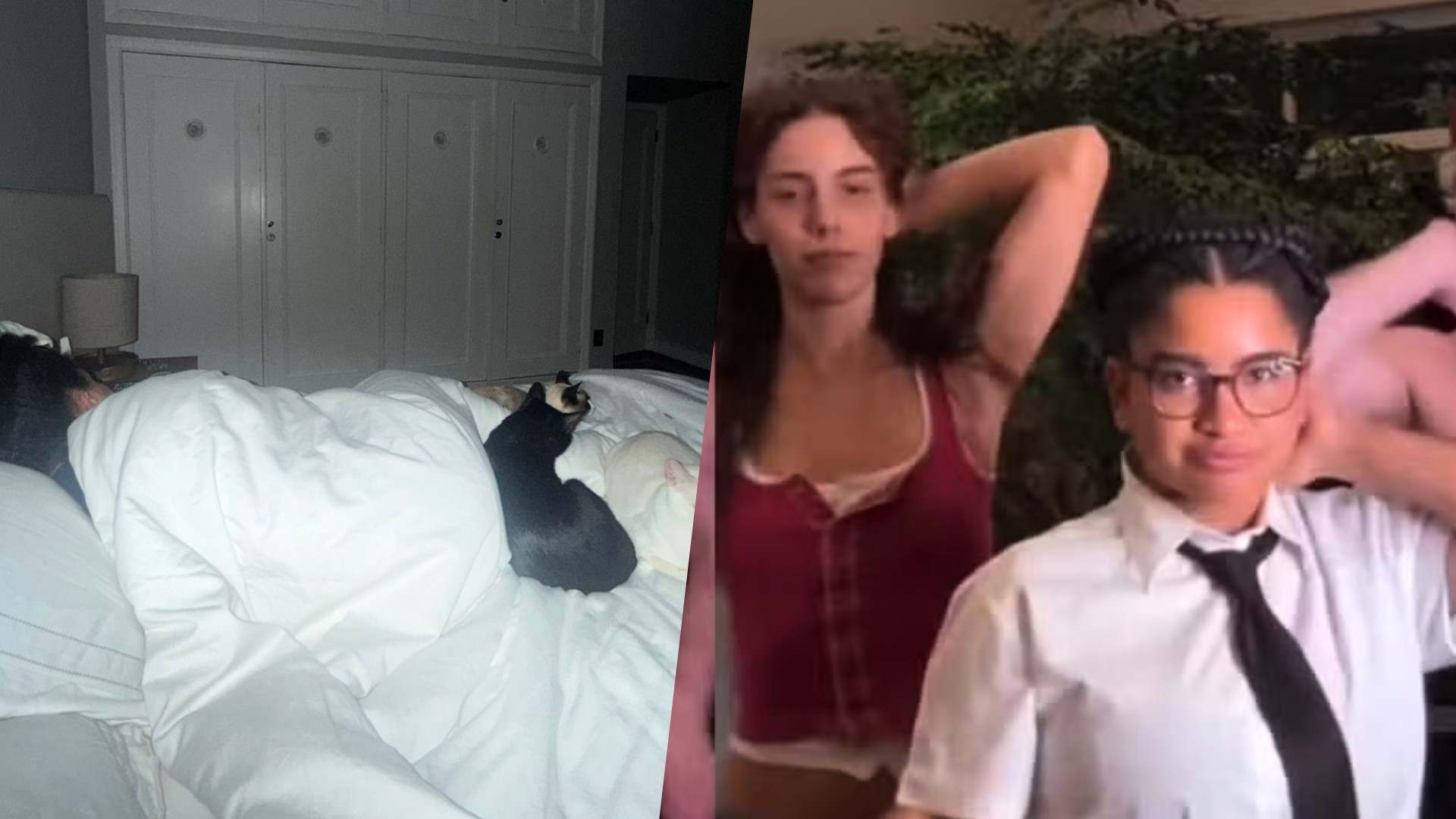 Milena surge deitada com gatos de Marina Sena, e cantora se derrete: 'Morri de amores'
