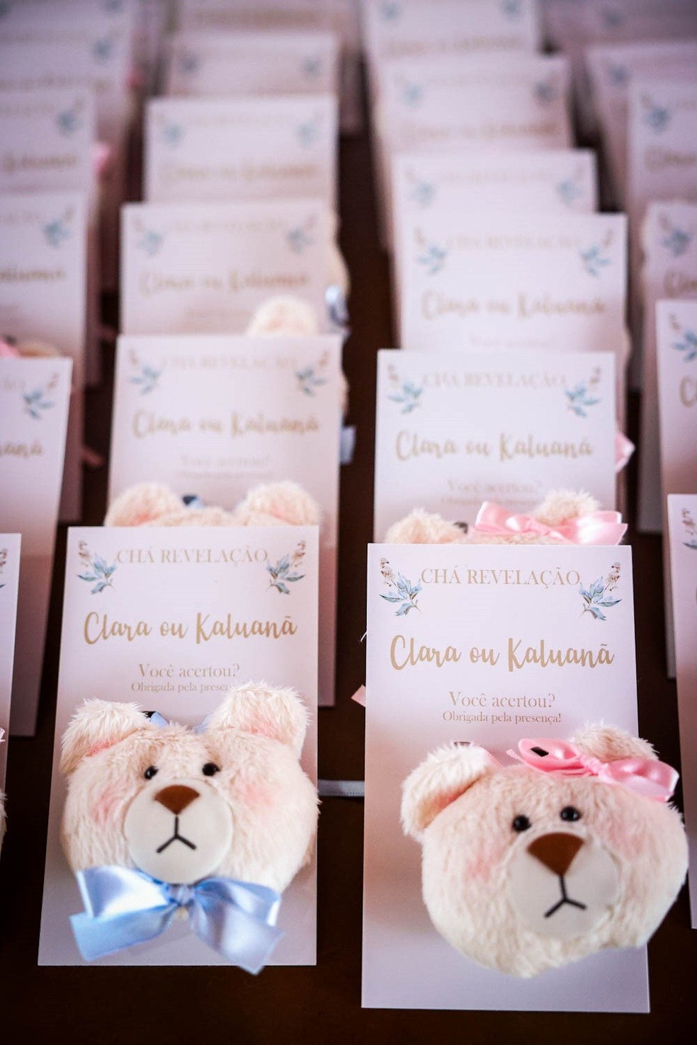 Chá revelação de Zezé e Graciele — Foto: Brazil News