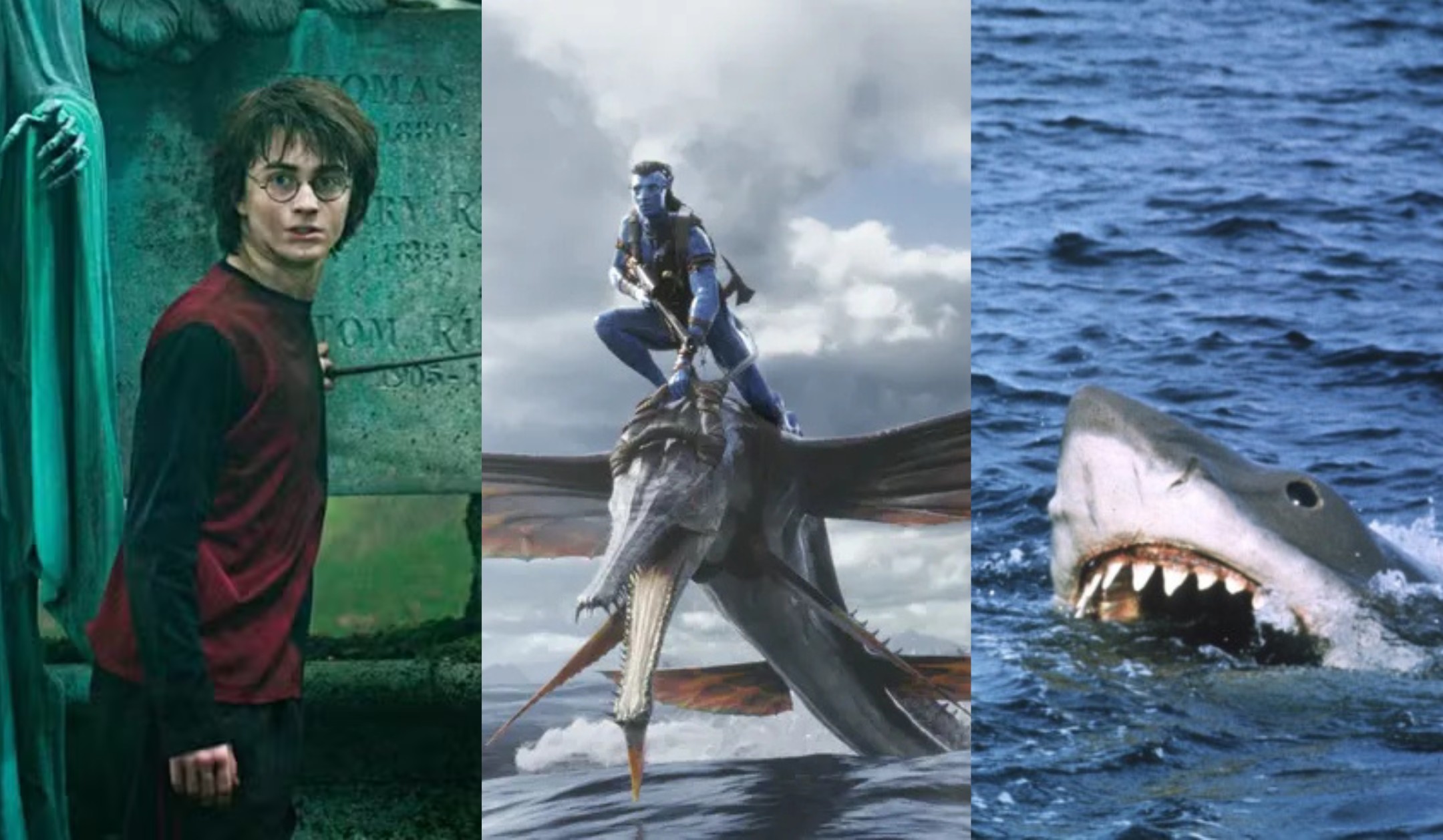 Harry Potter, Avatar e Tubarão: veja 10 filmes que serão relançados nos cinemas em 2025