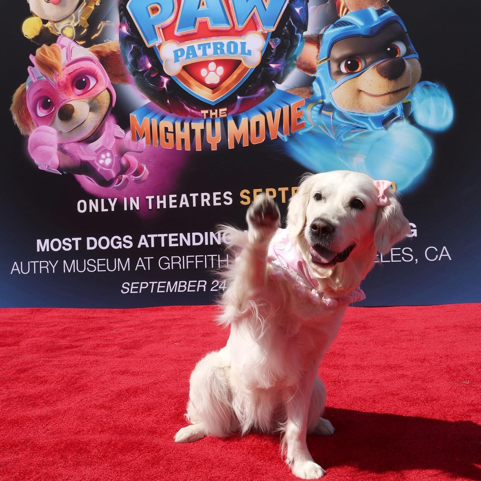 Centenas de cachorros estiveram em première de 'Patrulha Canina: O Filme' — Foto: Instagram/Guinness Book
