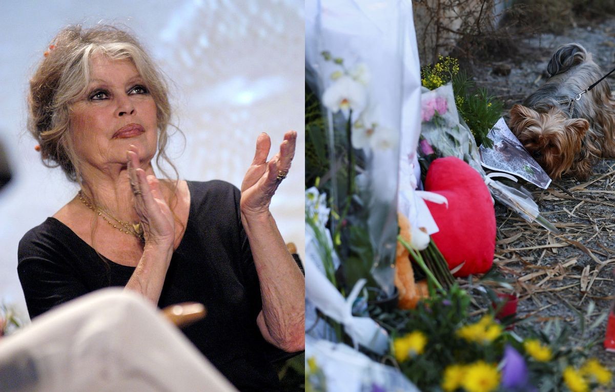 Adeus a Brigitte Bardot: fãs fazem homenagem e colocam flores e urso de pelúcia na casa da atriz