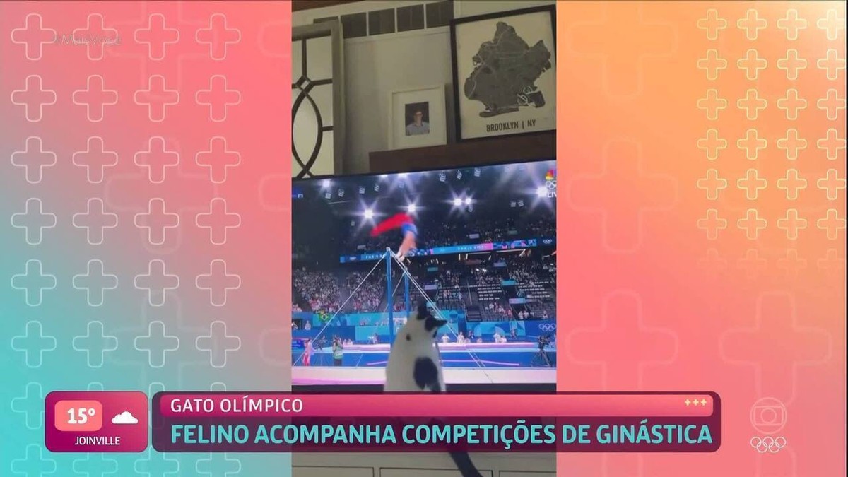 Gatinho tenta 'agarrar' pernas de ginasta que compete nas Olimpíadas de ...