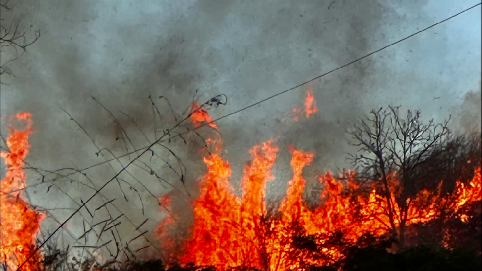Lúcia Veríssimo relata incêndio em sua fazenda e agradece socorro dos bombeiros — Foto: Reprodução/Instagram