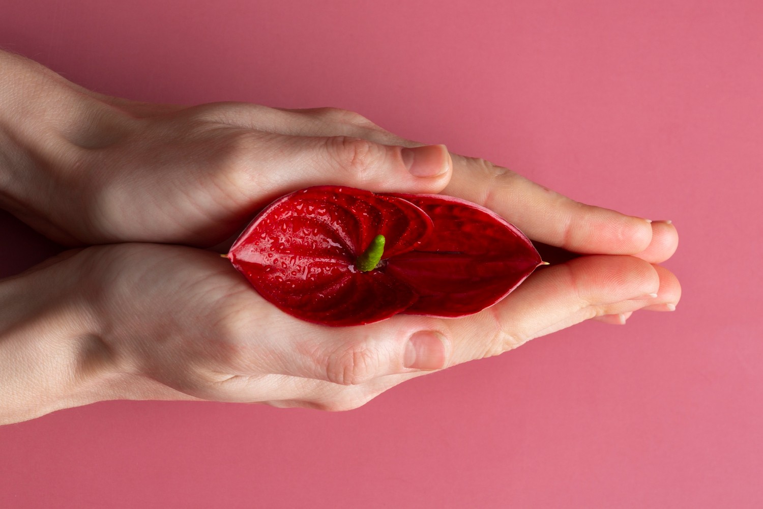 Clitoriano ou vaginal? Estudo aponta órgão responsável por todos os tipos de orgasmo feminino