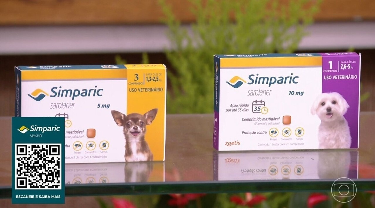 Cães Terapeutas: A Importância dos Cuidados Contínuos com Antiparasitários