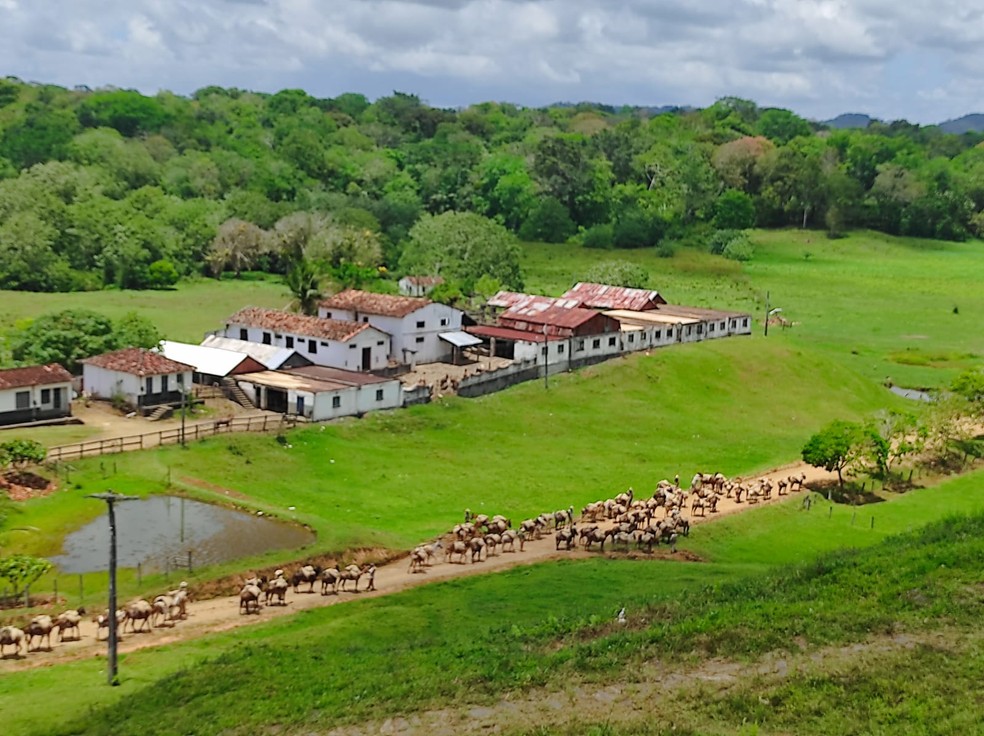Fazenda Renascer que volta a ser cenário da novela — Foto: Dudu Estrella/Globo