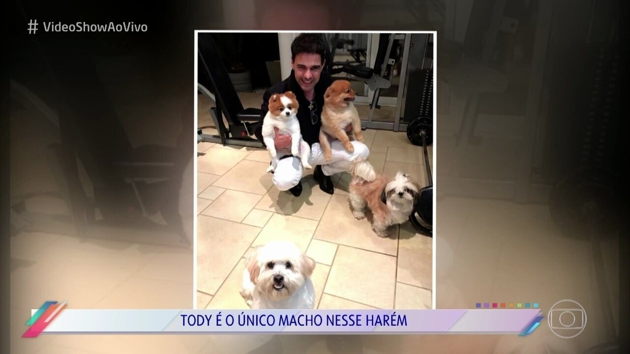 Zezé Di Camargo lamenta morte Mia, sua cachorra: 'Durante 16 anos você foi minha companheira'