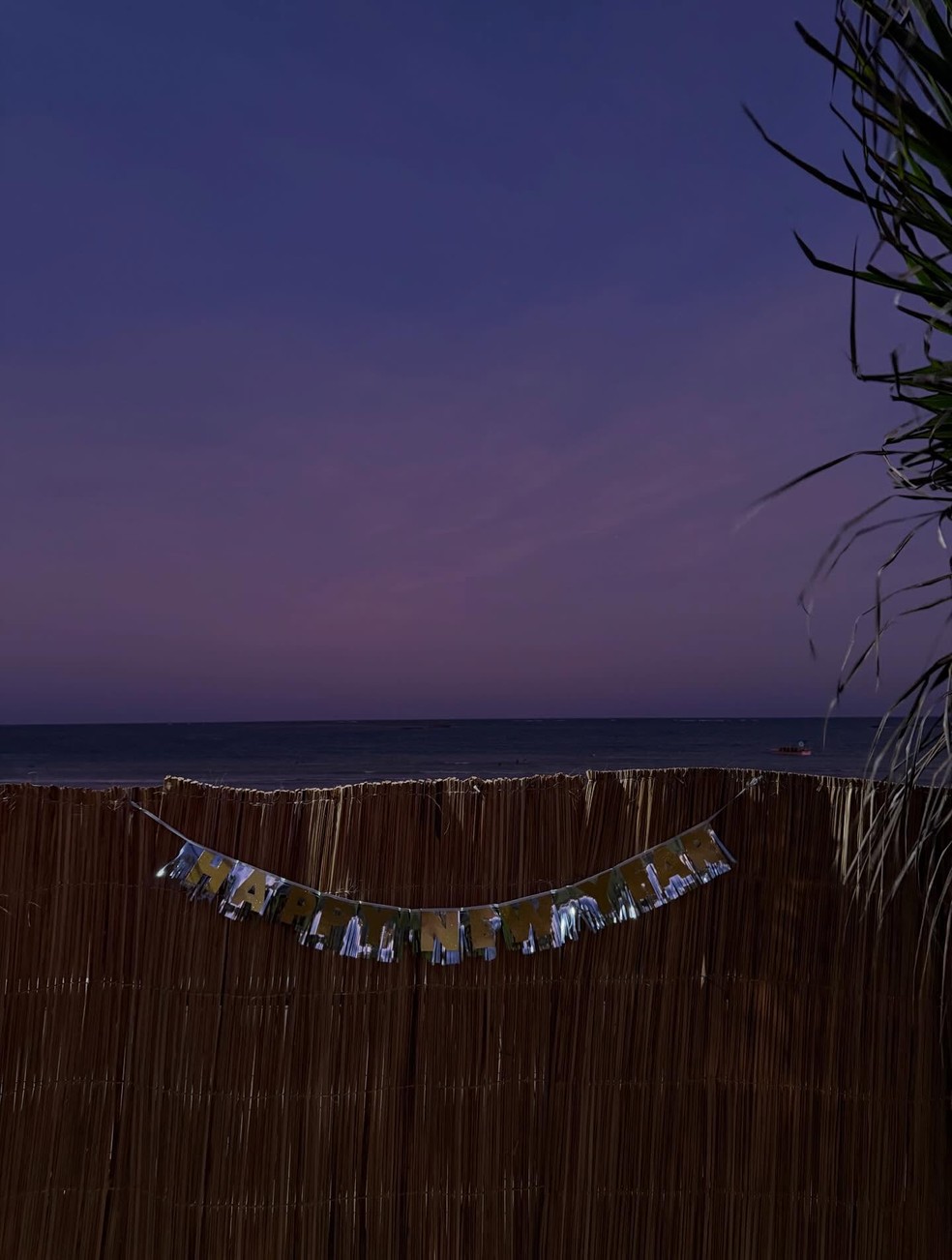 Bruna Marquezine compartilha álbum de ano novo — Foto: Reprodução/Instagram