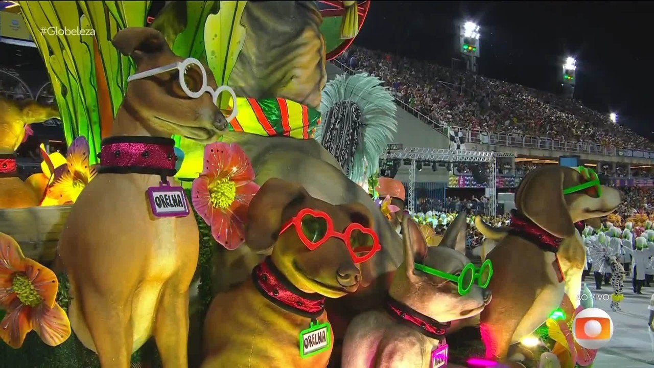 Mocidade homenageia cão Orelha em desfile no Grupo Especial