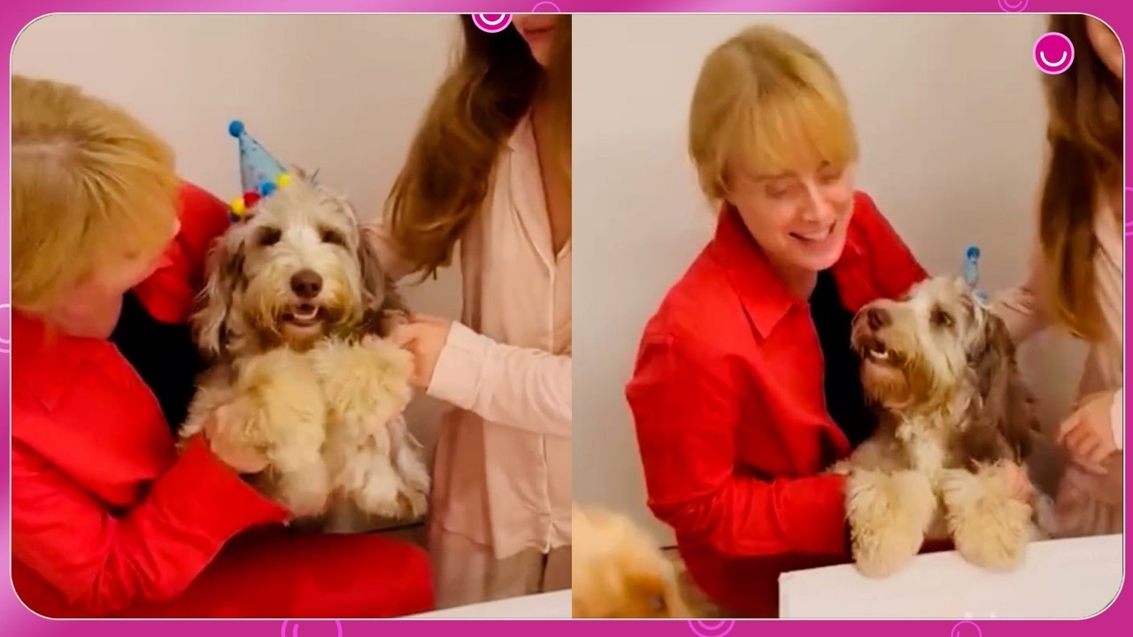 Angélica faz 'festinha' de aniversário para sua cadela, Tereza