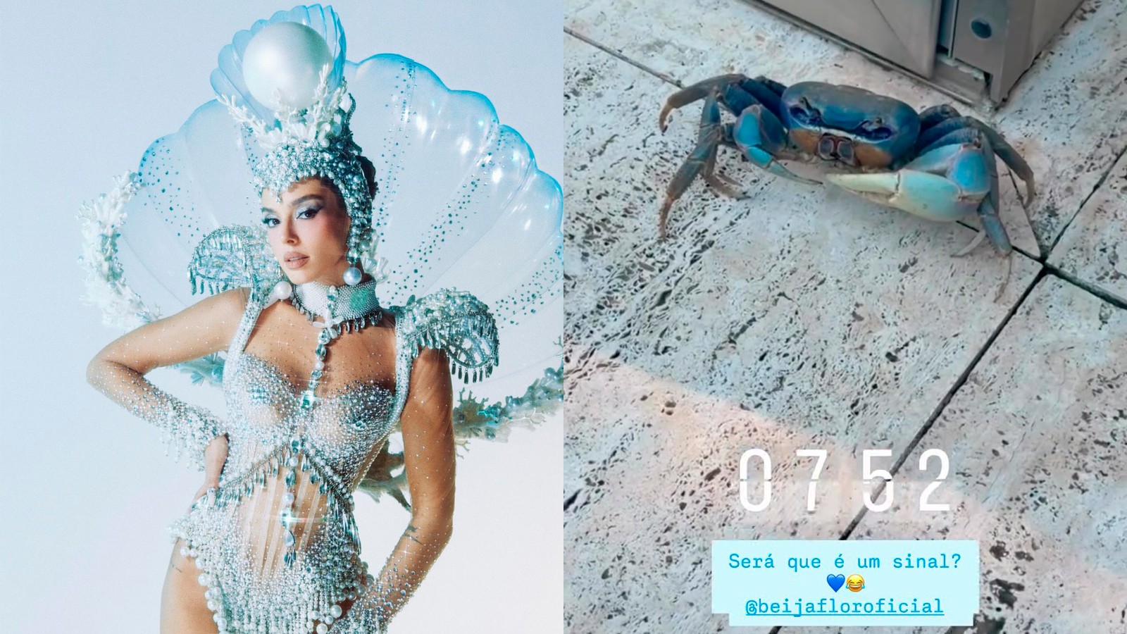 Após desfile, Giovanna Lancellotti dá de cara com caranguejo azul em casa e brinca: 'Sinal, Beija-Flor?'