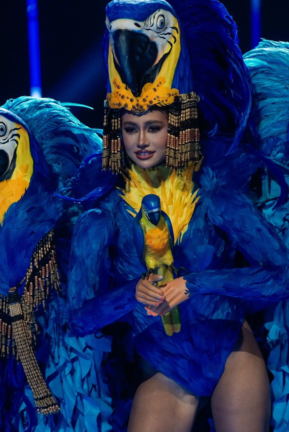 Miss Universo Brasil 2023, Maria Brechane usa traje típico inspirado em  Arara azul em etapa do concurso, Moda & Beleza