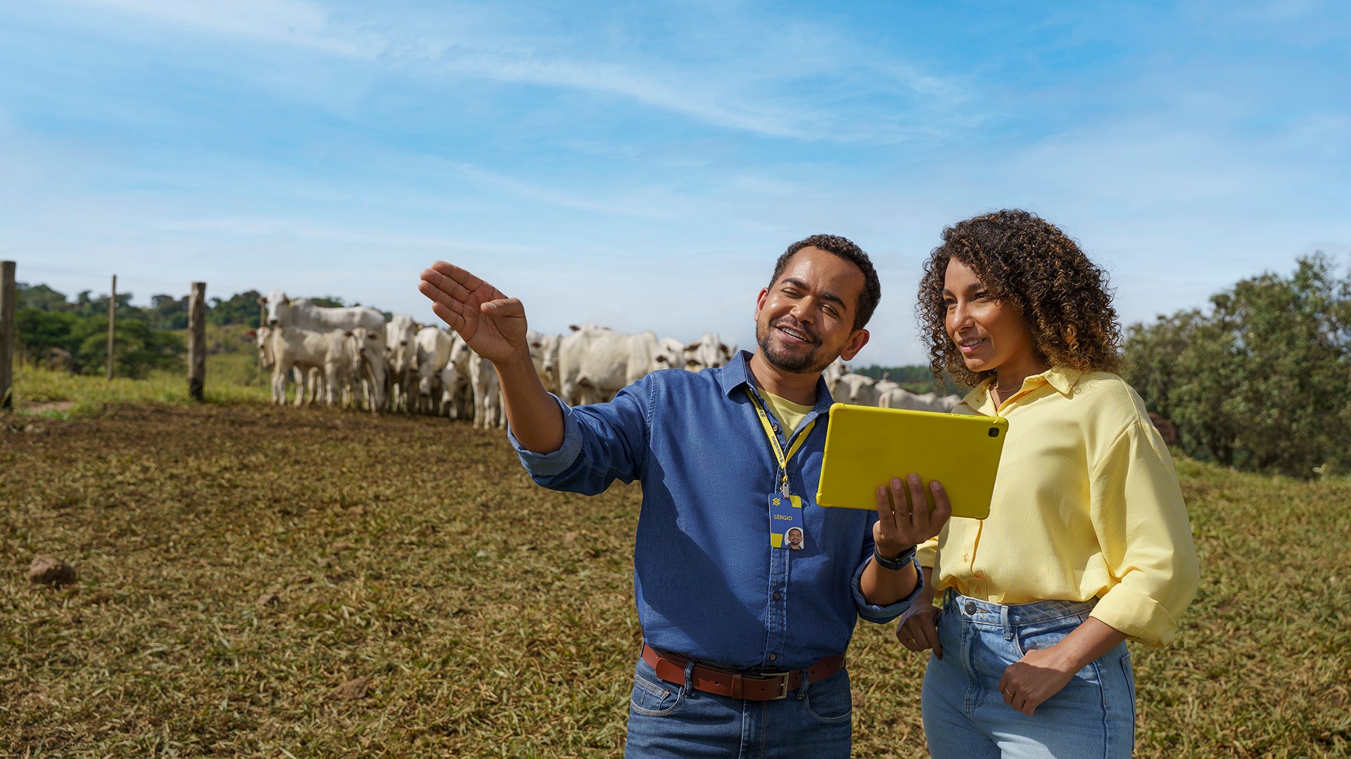 Do custeio ao seguro: como o crédito certo pode mudar a realidade de quem trabalha no campo