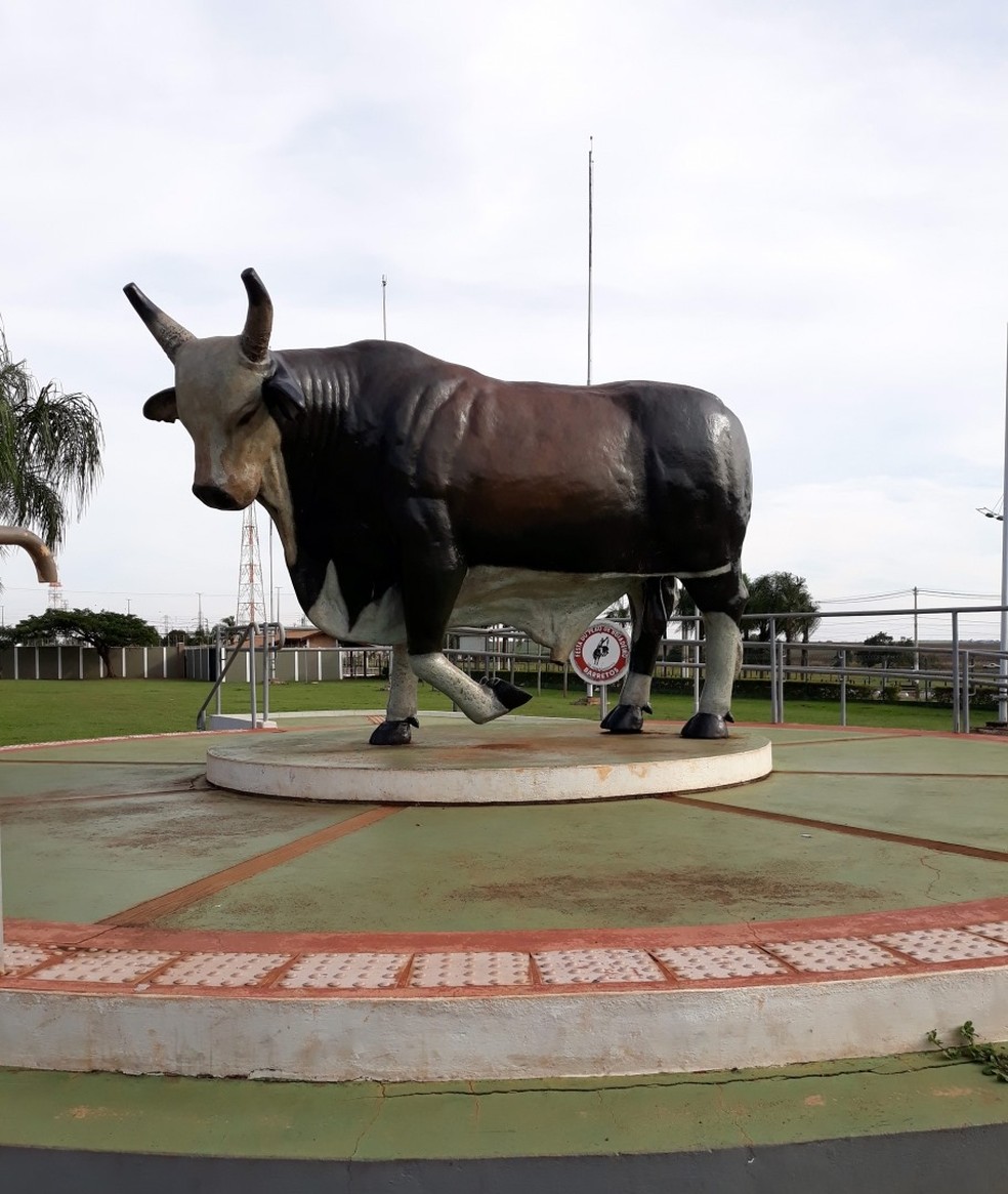 Monumento em homenagem ao Touro Bandido  Foto: Reproduo/Facebook