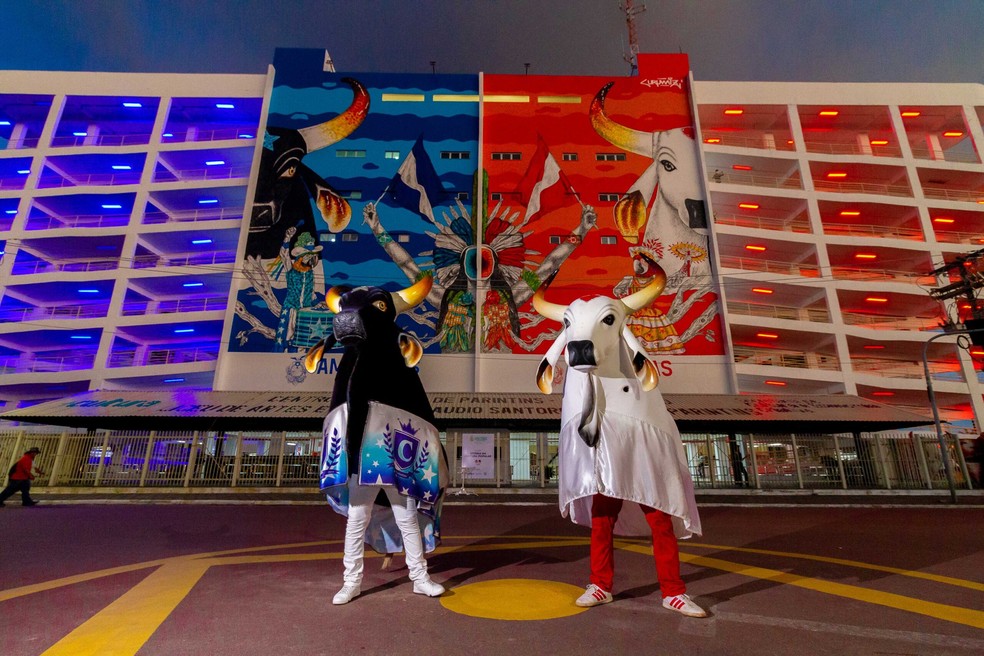 O Festival de Parintins acontece no Bumbódromo, uma arena em formato de boi dividida em azul e vermelho — Foto: divulgação