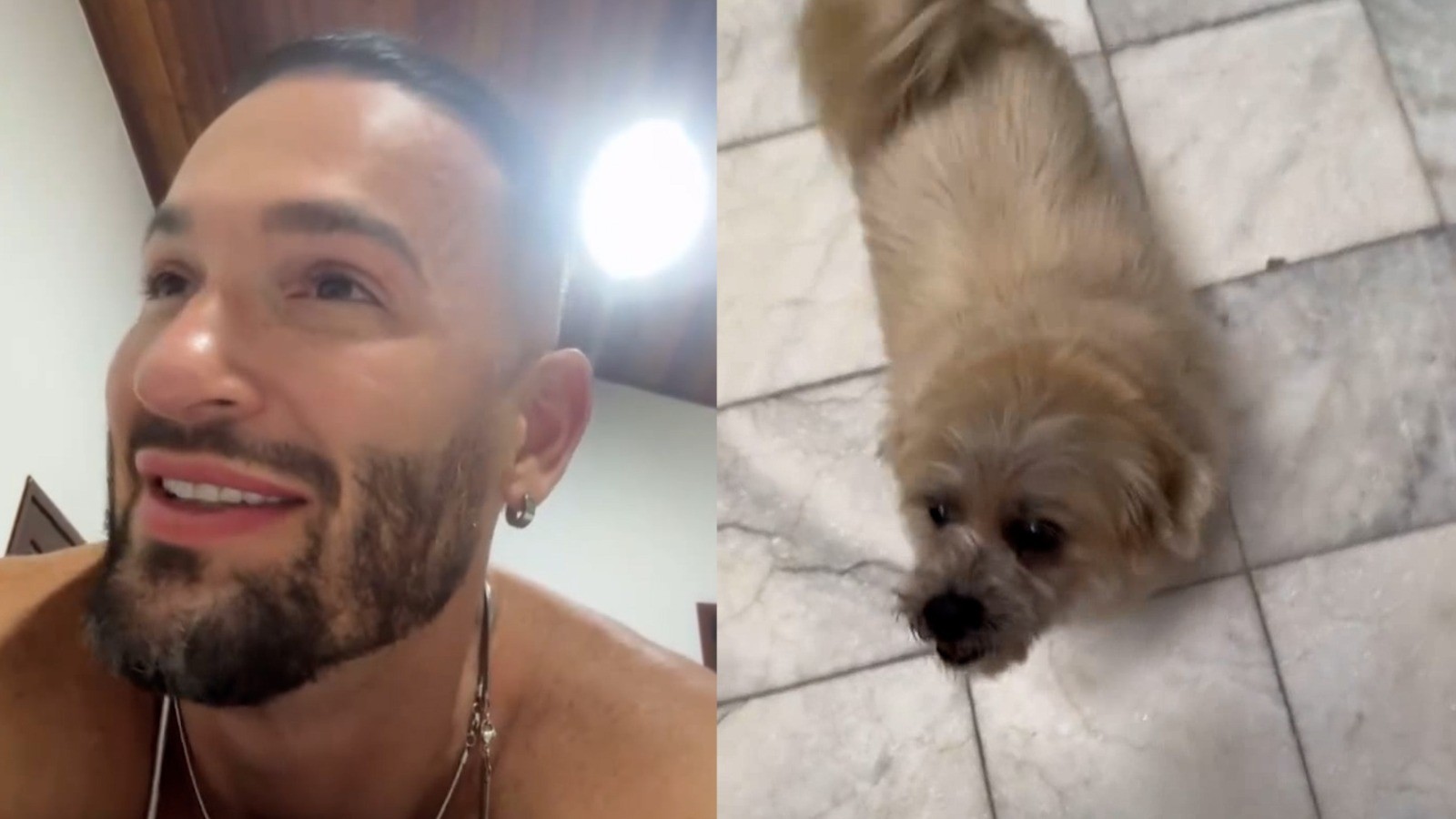 Diego Hypolito mostra cachorro com nome de Arthur Zanetti: 'Você me morde'