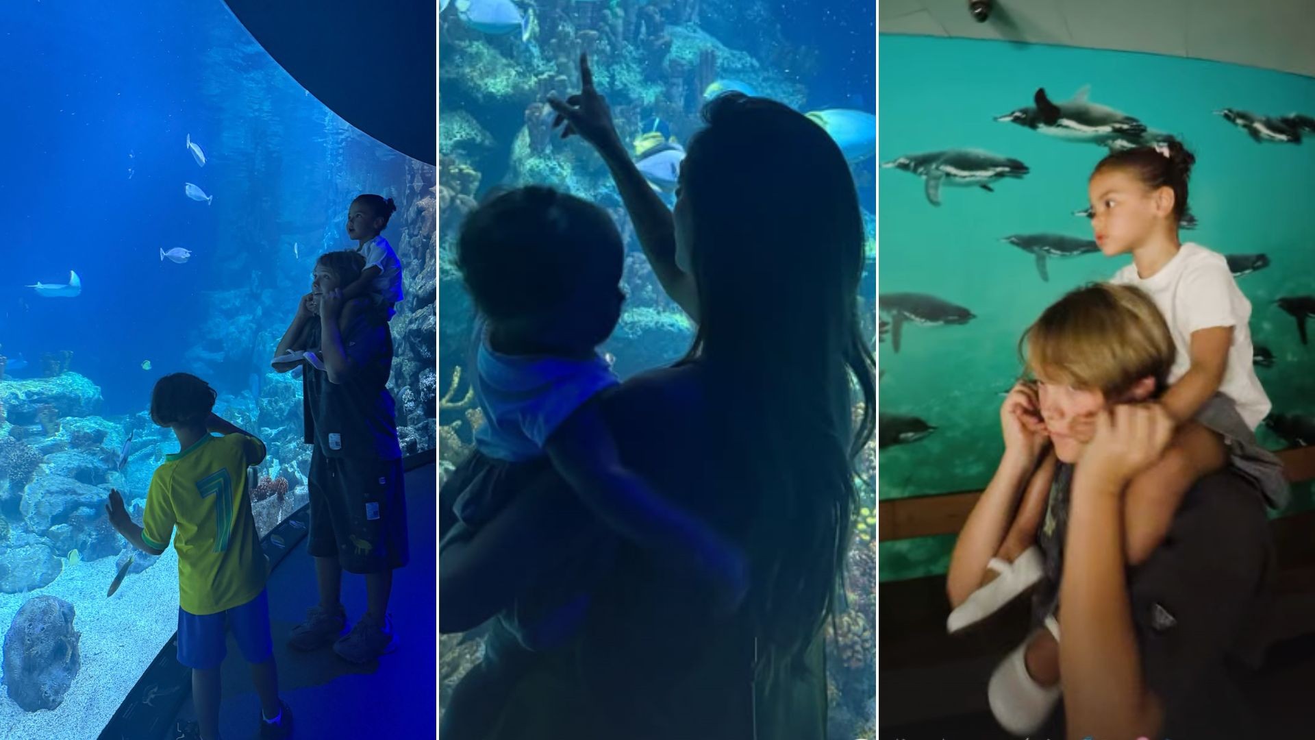 Bruna Biancardi compartilha passeio em aquário com as filhas e Davi Lucca
