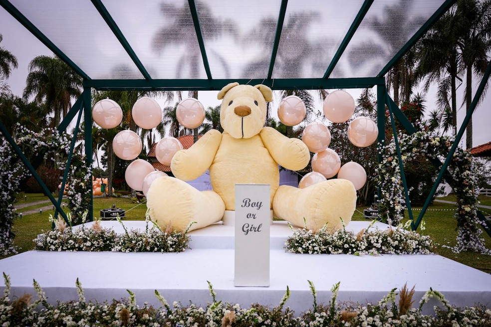 Chá revelação do bebê de Graciele e Zezé di Camargo — Foto: Manuela Scarpa/Brazil News
