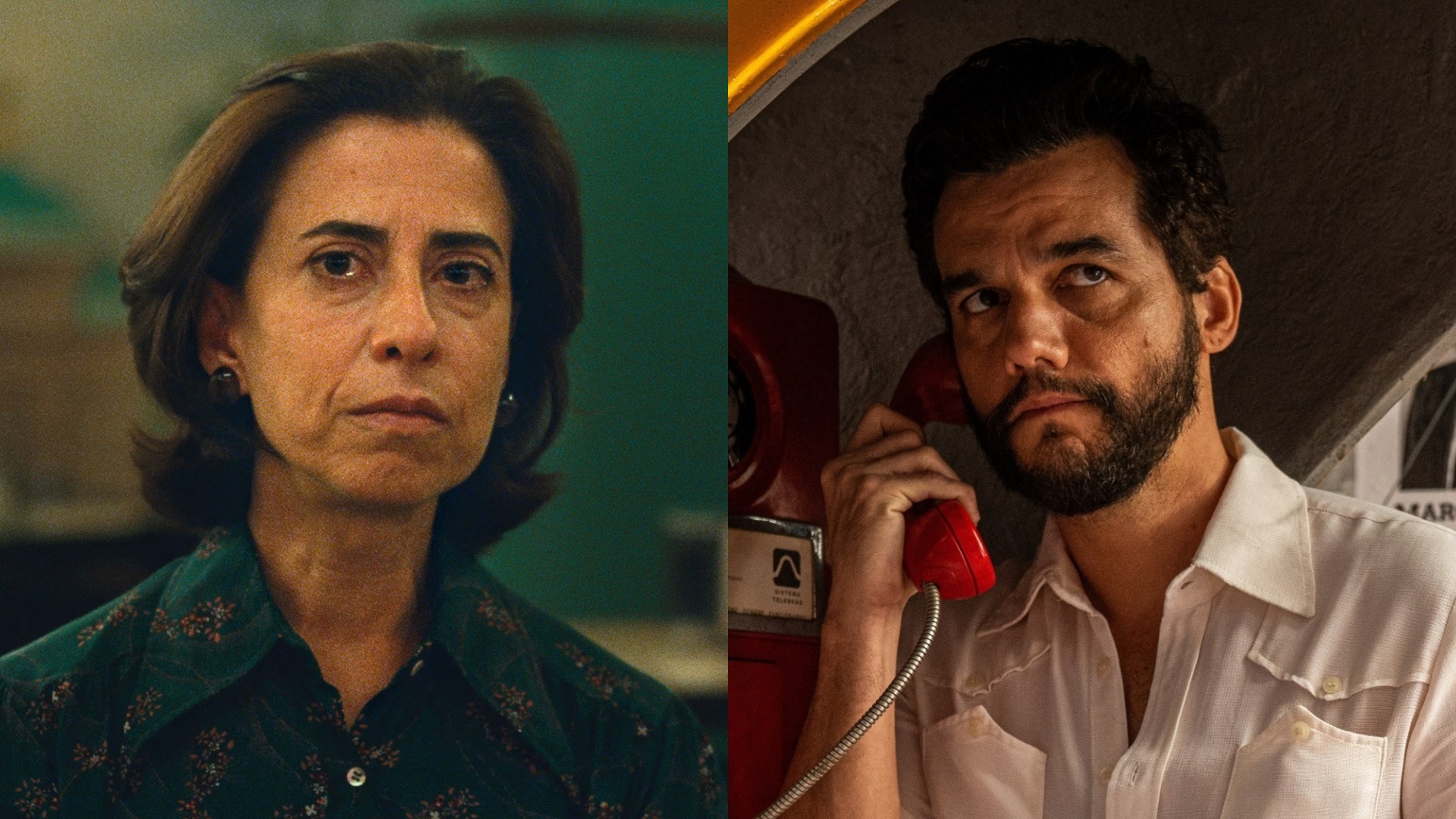 Dia do Cinema Brasileiro: especialistas analisam os desafios e o futuro das produções nacionais
