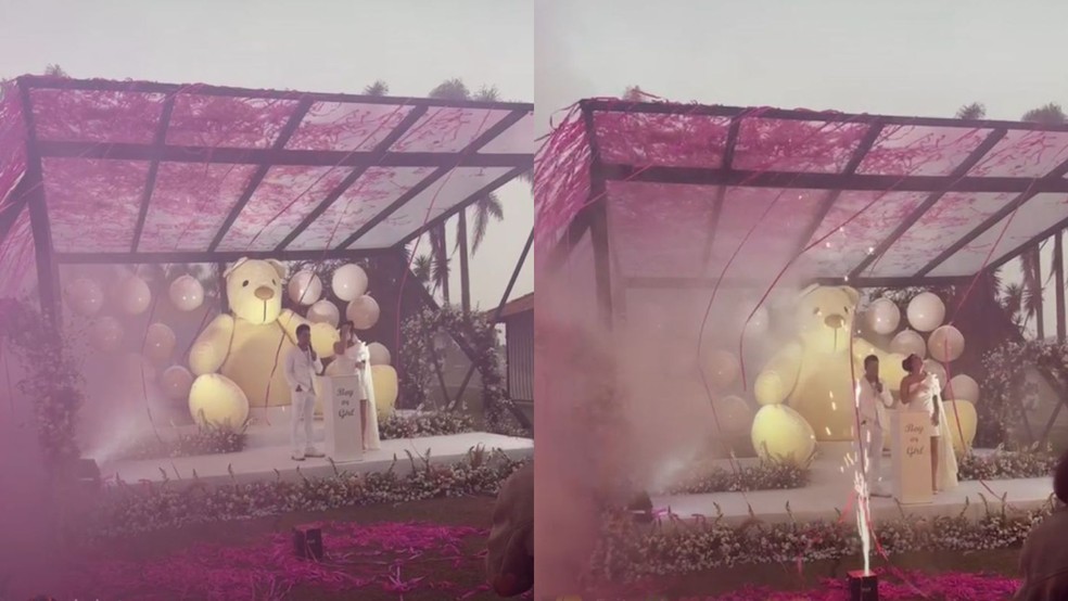 Zezé di Camargo e Graciele Lacerda estão à espera de uma menina — Foto: Reprodução