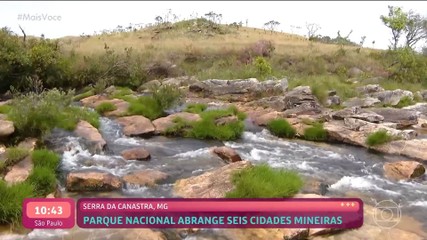 Vídeos do episódio de 'Mais Você' de quinta-feira, 27 de novembro de 2025