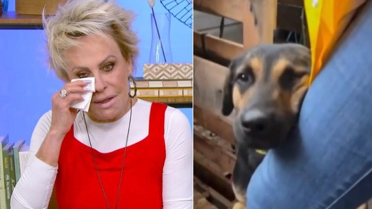 Ana Maria Braga chora ao ver imagem de cão agarrado à perna de veterinária após resgate no RS: 'Quantos anjos!' - Foto: (Globo)