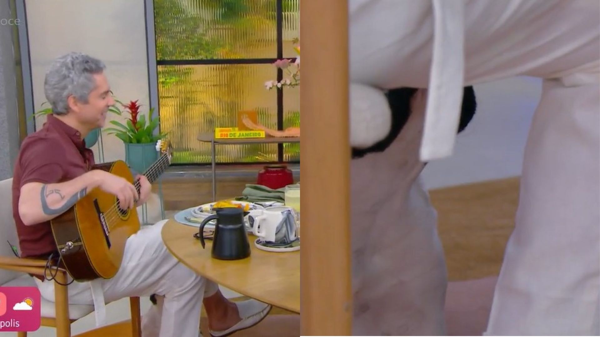 Alexandre Nero encanta Pitaya, cachorrinha de Ana Maria Braga, ao cantar música autoral: 'Até ela se apaixonou'