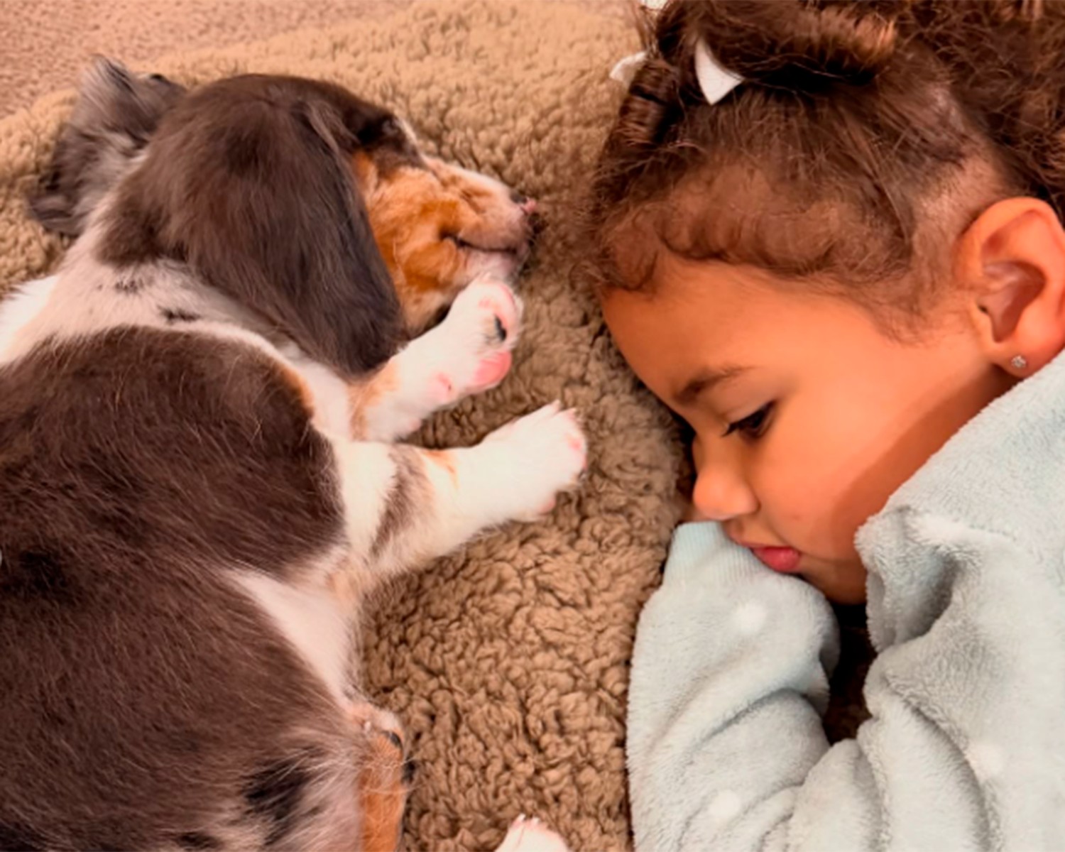 Bruna Biancardi com seu cachorro novo e barriga de grávida