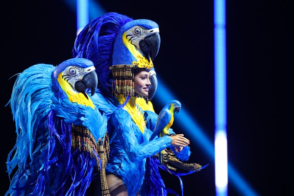 Miss Universo 2023: Mari Brechane desfila de arara-azul - 17/11/2023 - De  faixa a coroa - F5