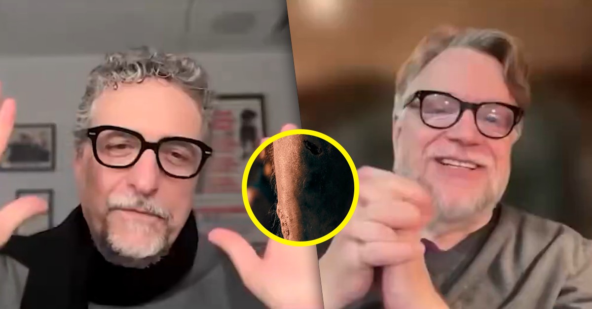 Guillermo Del Toro se encanta com a perna cabeluda de 'O Agente Secreto' e elogia filme