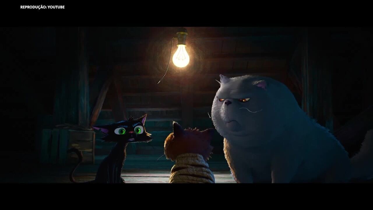 Protagonizado por gatinho, Pixar revela primeiro trailer da animação 'Gatto'; assista