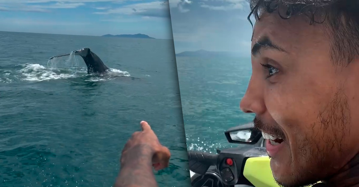 MC Livinho encontra baleia durante passeio de jetski e se surpreende