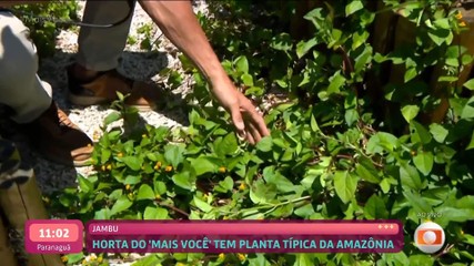 Vídeos do episódio de 'Mais Você' de terça-feira, 11 de novembro de 2025