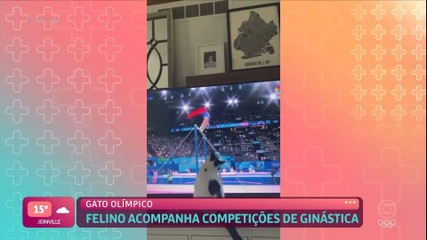 Vídeo de gatinho acompanhado competições de ginástica faz sucesso nas redes