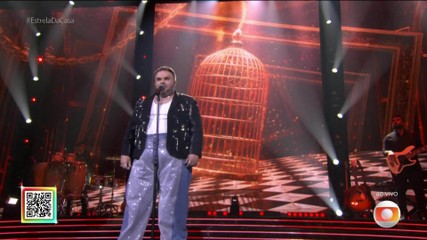 Veja as apresentações do 6º Festival do Estrela da Casa