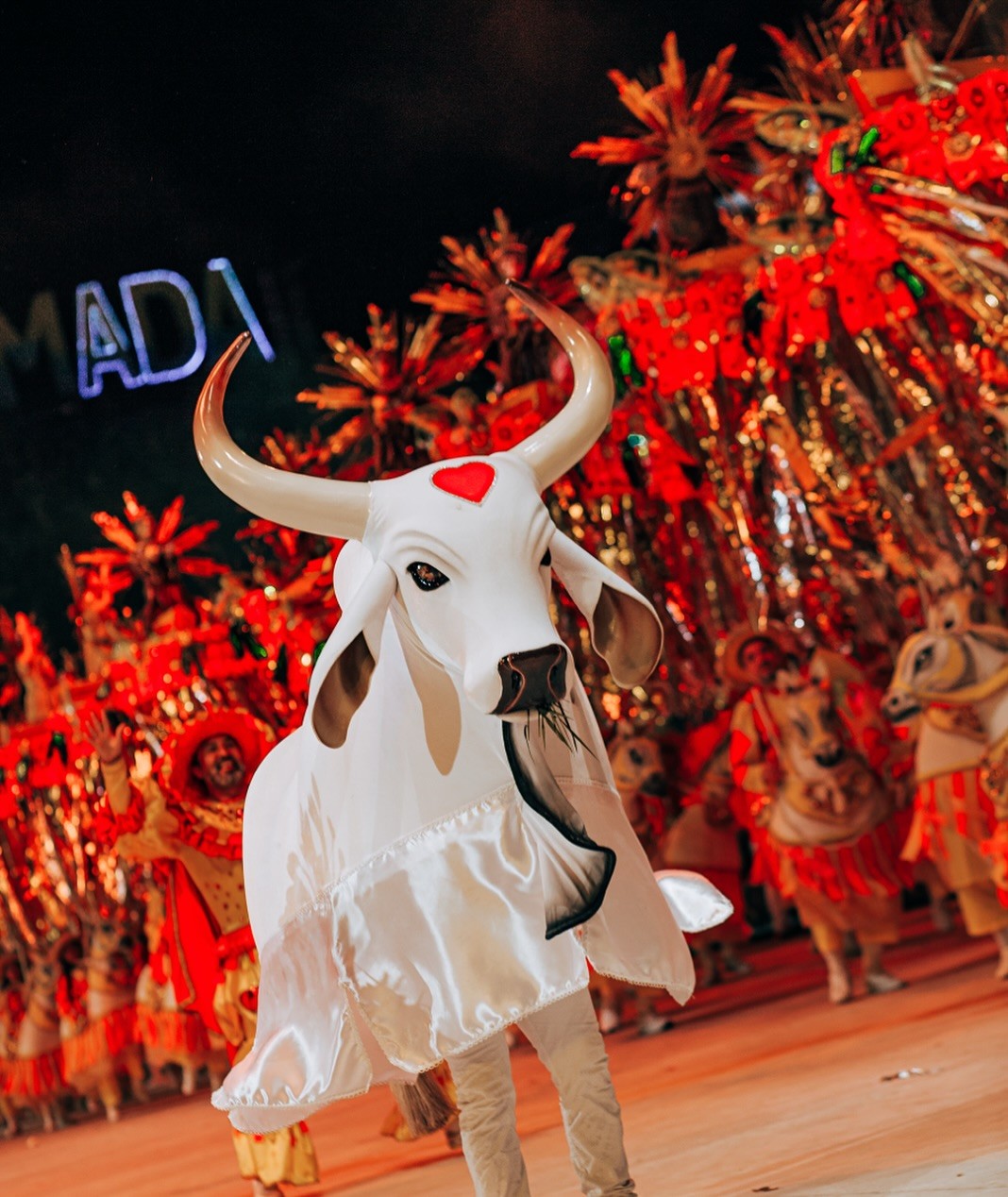 Boi Bumbá Garatido divulga calendário da temporada bovina de 2026 para o Festival de Parintins