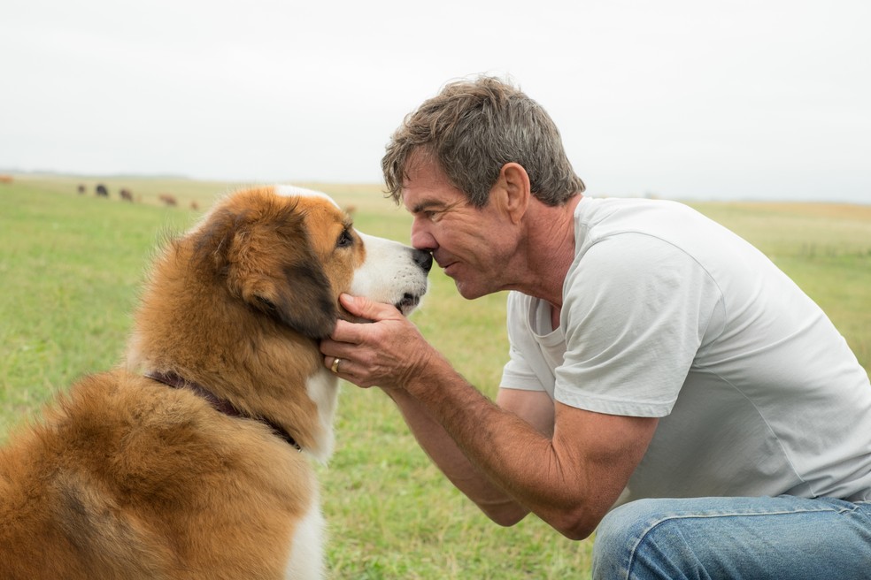 Dennis Quaid em 'Quatro Vidas de um Cachorro' — Foto: Reprodução/IMDb