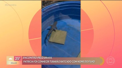 Vídeos do episódio de 'Encontro com Patrícia Poeta' de segunda-feira, 30 de março de 2026