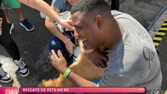 Reencontros de tutores com seus pets e adoação de animais no RS emocionam Ana Maria Braga