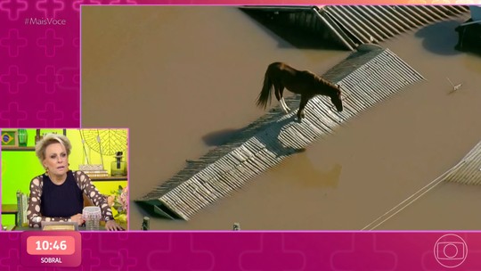 Ana Maria Braga conta que cavalo ilhado em telhado no RS será resgatado de helicóptero pela defesa civil nacional: 'Estamos na torcida!'