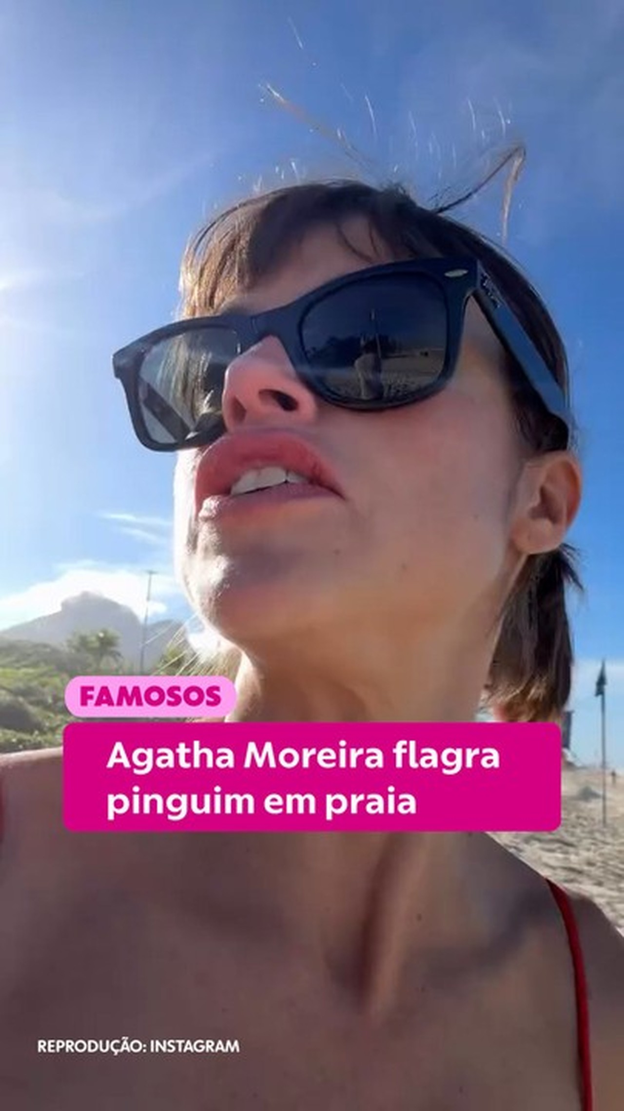 Agatha Moreira flagra pinguim em praia do Rio
