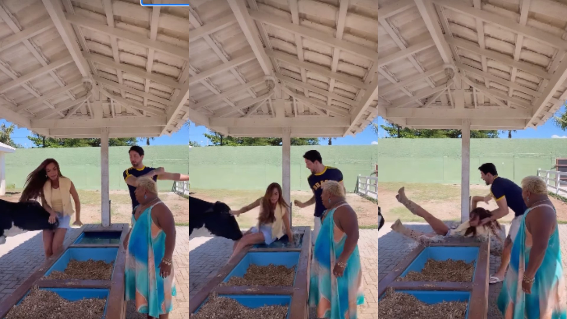 Nicole Bahls leva cabeçada de vaca, é arremessada e cai em bebedouro na fazenda