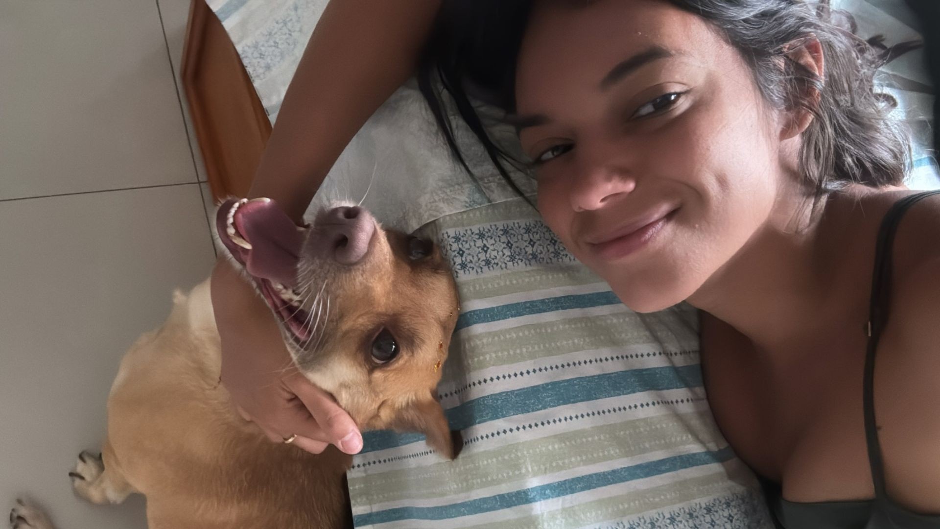 Relembre pets queridos de ex-participantes do BBB e cachorros que já entraram na casa