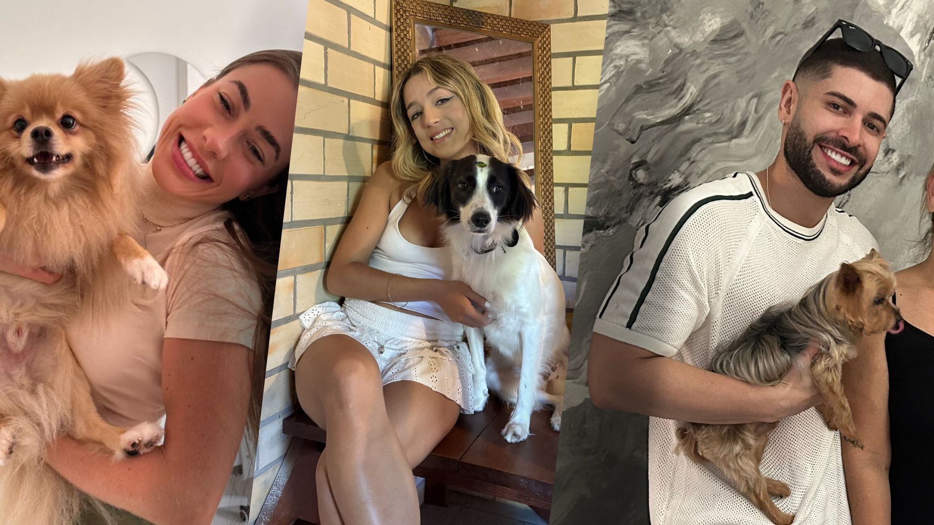 Conheça os animais de estimação dos candidatos das cinco Casas de Vidro do BBB 26