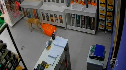 Vídeos do episódio de 'Mais Você' de sexta-feira, 20 de março de 2026