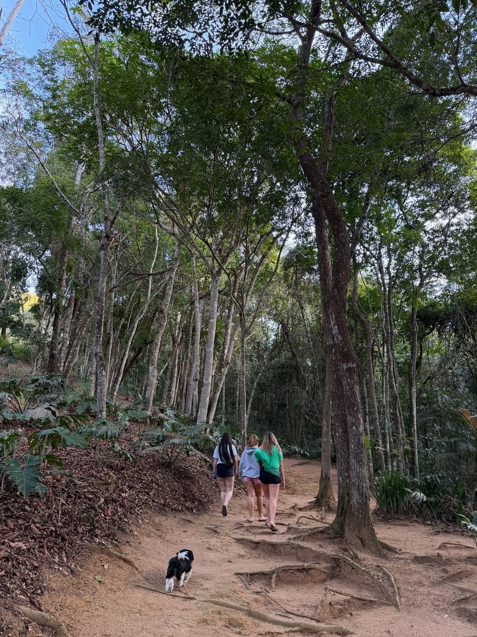 Leticia Spiller — Foto: Reprodução/Instagram