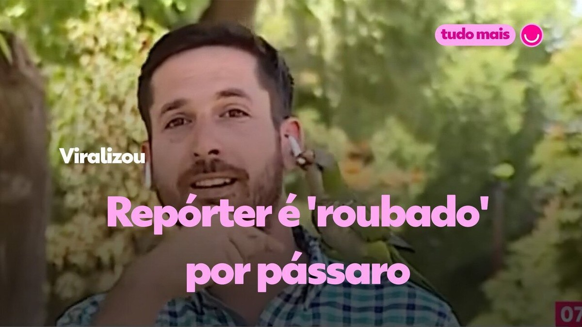 Repórter é Roubado Por Pássaro Durante Reportagem Ao Vivo Veja